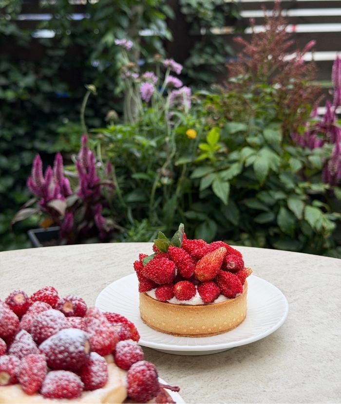 tartelette lato 2026